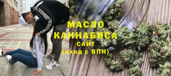 гидропоника Горняк