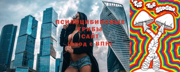 гидропоника Горняк
